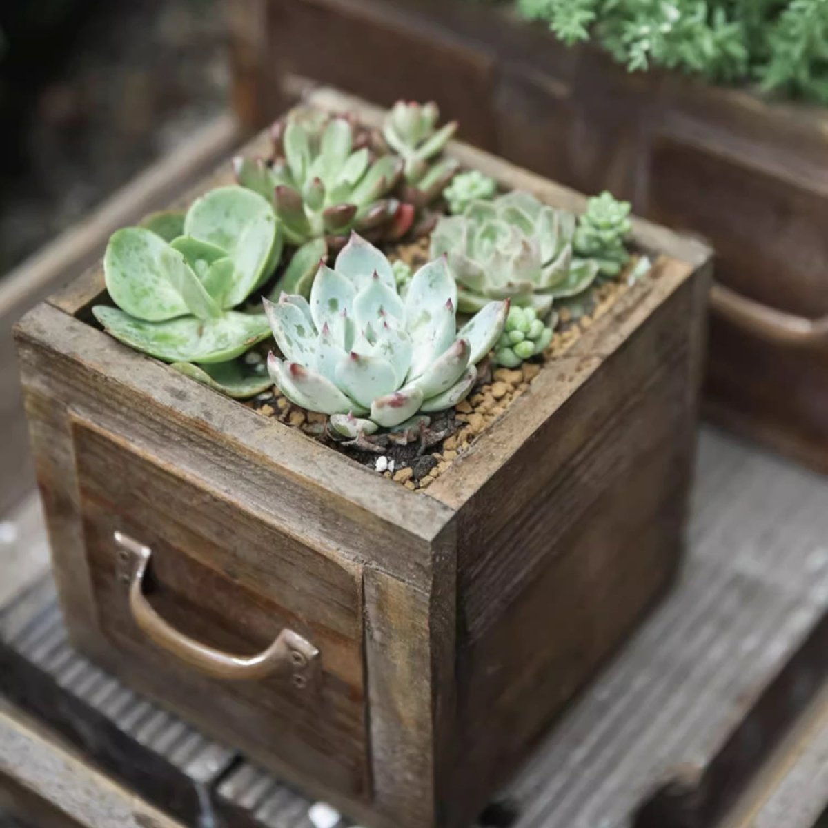 RusticReach farmhouse wooden box for succulents or flowers, featuring a rustic design and natural wood finish.