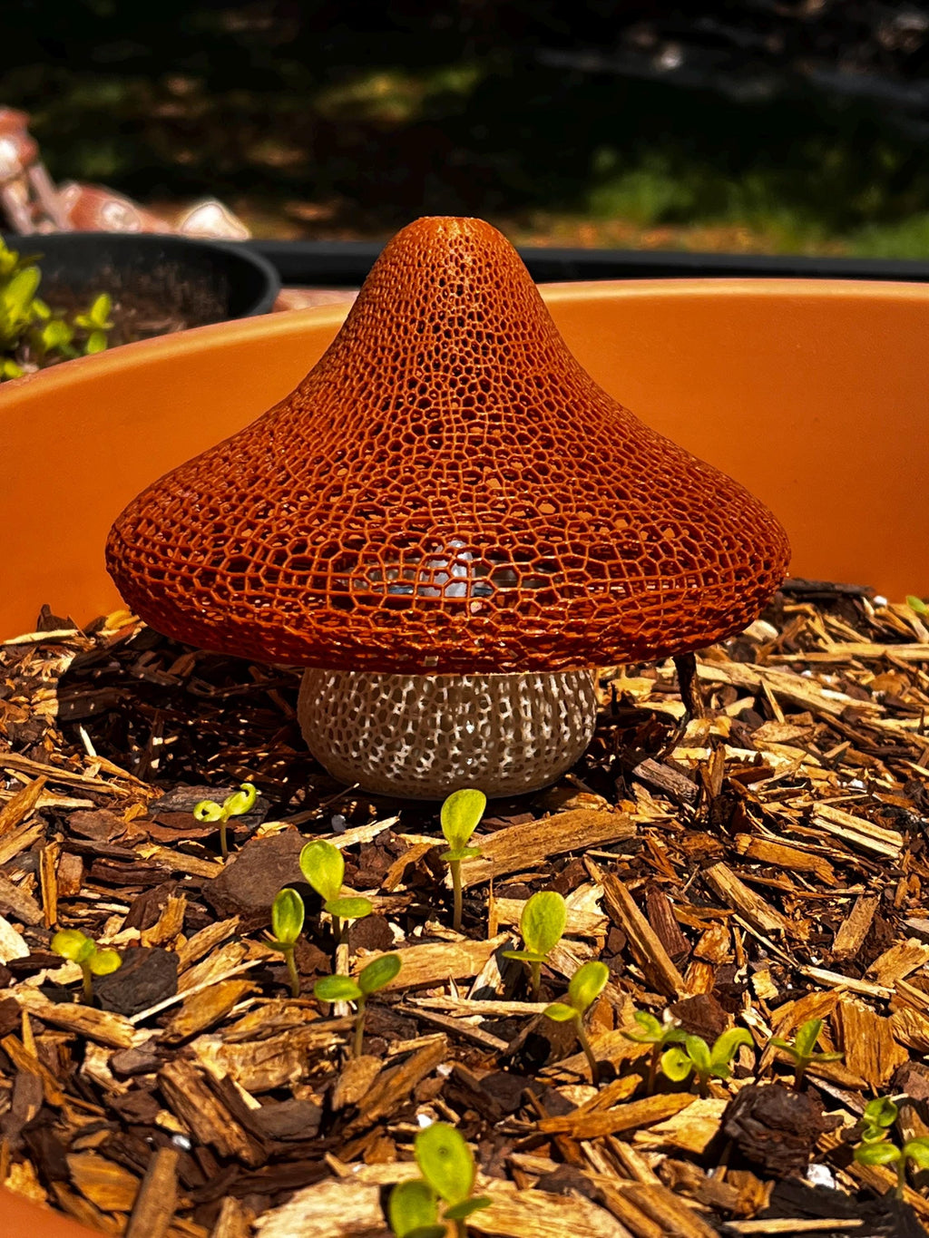 Mushroom lattice solar tea light by 3D Concepts showing a decorative outdoor lantern with mushroom-shaped design and solar panel.